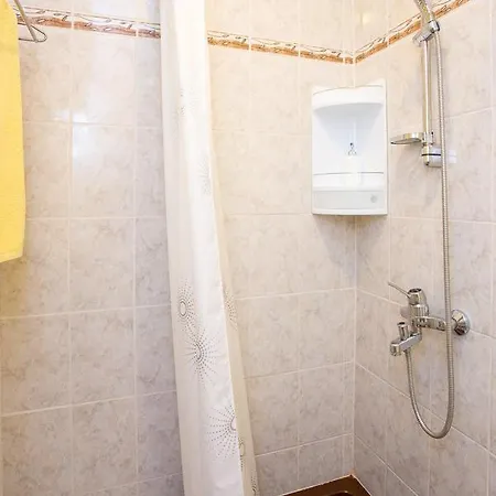 Apartment Robi *